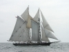 2003ernestina