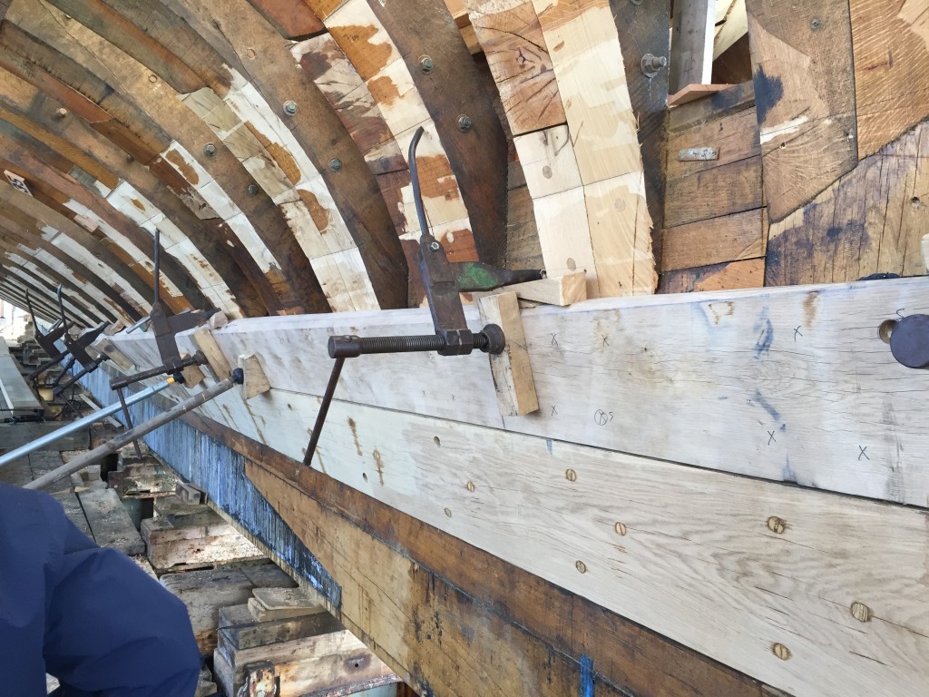 The aft plank of the broad strake is fastened to the frames. The plank has to be held tightly in place until the screws and trunnels are in place. These clamps are "old tech: