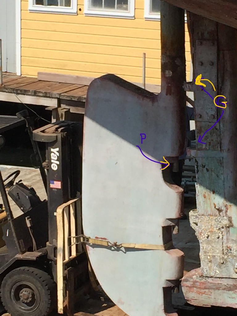 IMG_0462_P&G labeled