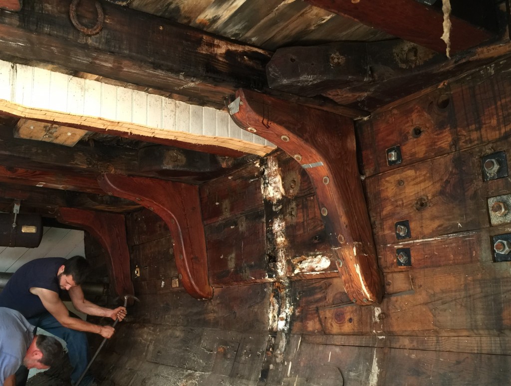 Knees holding up the deck beams overhead.