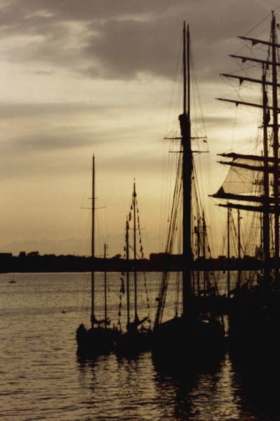 SailBoston2000 Tall Ships rafted with Gleam, Mya (Sen. Ted Kennedy's schooner) , Ernestina, STS Lord Nelson at Fan Pier